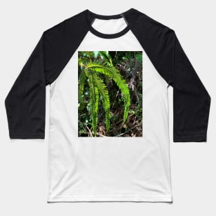 Fern Baseball T-Shirt